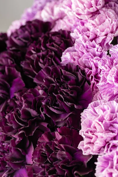 Γαρίφαλα όμορφα λουλούδια σε ένα βάζο σε έναν πίνακα. Μπουκέτο με σκούρο βιολετί, μωβ και ροζ λουλούδι πολύχρωμη. Διακόσμηση του σπιτιού. Floral υφή, ταπετσαρία. — Φωτογραφία Αρχείου