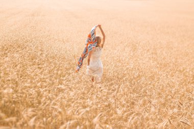 Bir buğday alanında sarışın kız modeli. Genç kadın doğanın tadını çıkarıyor. Güneş ışınlarının içinde koşan güzel bir kız. Güneş ışığı.
