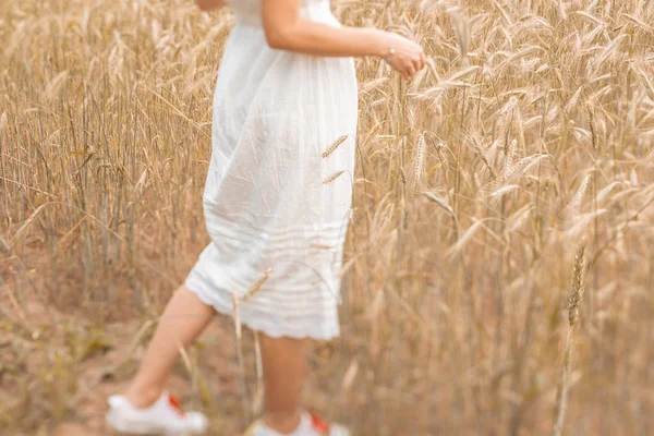 Nahaufnahme von Füßen, die an sonnigen Tagen auf dem goldenen Weizen wandeln. Natur genießen. schöne Mädchen in den Strahlen des Sonnenlichts. Sonnenlicht. — Stockfoto