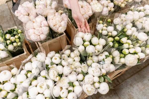 Warehouse refrigerator, Wholesale flowers for flower shops. White peonies in a plastic container or bucket. Online store. Floral shop and delivery concept.