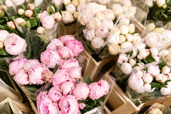 Almacén refrigerador, flores al por mayor para florerías. Peonías rosadas en un recipiente o cubo de plástico. Tienda online. Tienda floral y concepto de entrega . — Foto de Stock