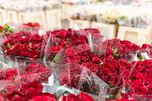 Warehouse refrigerator, Wholesale flowers for flower shops. Red roses in a plastic container or bucket. Online store. Floral shop and delivery concept.