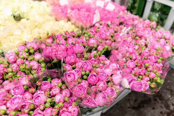 Almacén refrigerador, flores al por mayor para florerías. Rosas rosadas en un recipiente o cubo de plástico. Tienda online. Tienda floral y concepto de entrega . —  Fotos de Stock