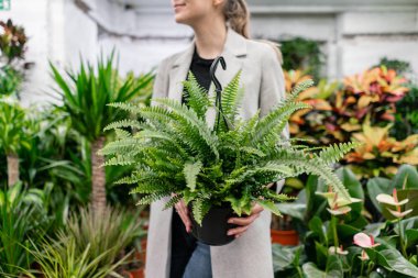 Nephrolepis bitkitutan genç bir kadın, eğrelti otu, ev için bir bitki seçer. Çiçek deposunda saksılarda birçok farklı bitki. Bahçe merkezi ve toptan tedarikçi konsepti.