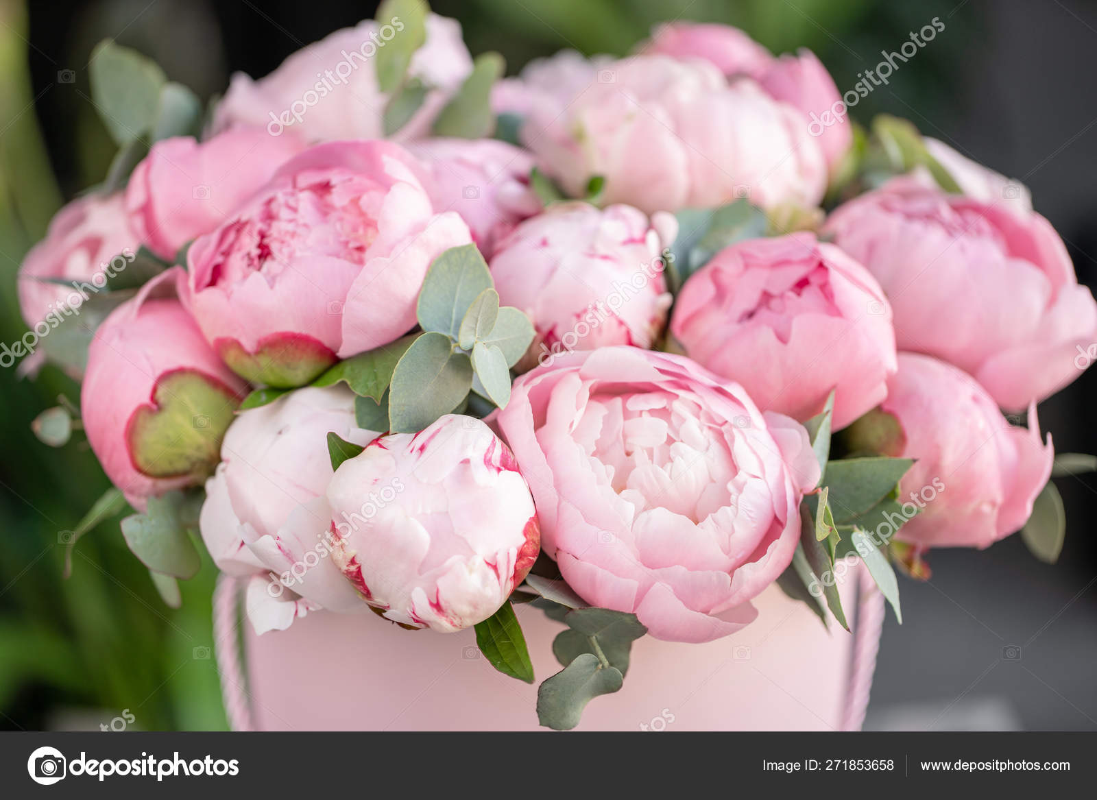 Close Up Of Flowers Pink Peonies Beautiful Peony Flower For Catalog Or Online Store Floral Shop Concept Beautiful Fresh Cut Bouquet Flowers Delivery Stock Photo By C Malkovkosta