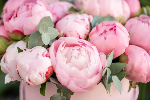 Nahaufnahme von Blüten rosa Pfingstrosen. schöne Pfingstrose Blume für Katalog oder Online-Shop. Blumenladen-Konzept. schöner frisch geschnittener Strauß. Blumen liefern — Stockfoto