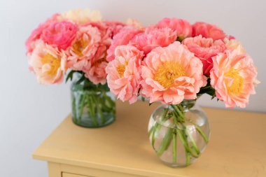 Evde rahat ve atmosfer. Coral peonies ile iki cam vazo. Odada sabah ışığı. Katalog veya online mağaza için güzel şakayık çiçek. Çiçek dükkanı ve teslimat konsepti .