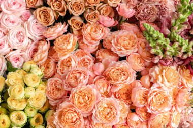 Çiçekli halı ya da duvar kağıdı. Çiçeklerin karışımı. Katalog ya da internet mağazası için güzel bir çiçek. Çiçek dükkanı ve teslimat konsepti. Üst Manzara. Boşluğu kopyala