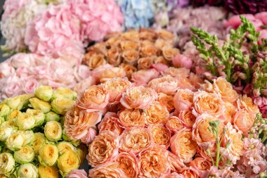 Çiçekli halı ya da duvar kağıdı. Çiçeklerin karışımı. Katalog ya da internet mağazası için güzel bir çiçek. Çiçek dükkanı ve teslimat konsepti. Üst Manzara. Boşluğu kopyala