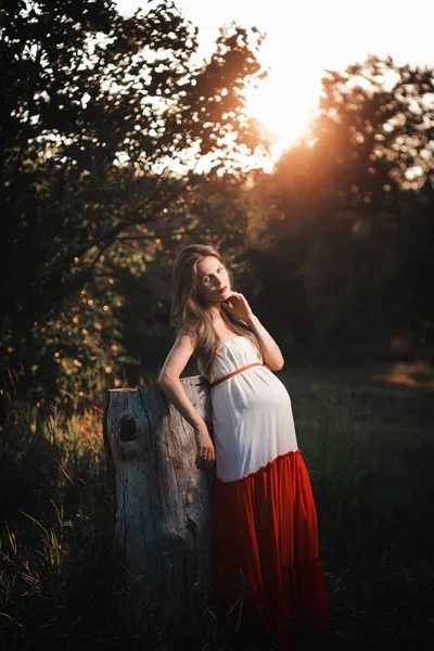 Mujer embarazada joven en el parque al aire libre. Mujer embarazada tranquila en el tercer trimestre. Caminando en el jardín público. Puesta de sol en el bosque —  Fotos de Stock