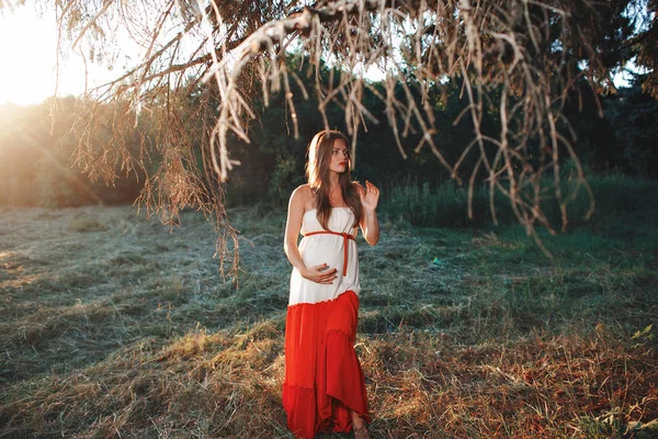 Jeune femme enceinte dans le parc à l'extérieur. Calme femme enceinte au troisième trimestre. Promenade dans le jardin public. Coucher de soleil dans la forêt — Photo