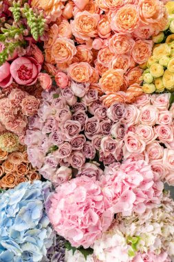 Çiçekli halı ya da duvar kağıdı. Çiçeklerin karışımı. Katalog ya da internet mağazası için güzel bir çiçek. Çiçek dükkanı ve teslimat konsepti. Üst Manzara. Boşluğu kopyala