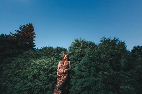 Junge schwangere Frau im Park im Freien. ruhige Schwangere im dritten Trimester. Wandern im öffentlichen Garten. Bäume im Wald — Stockfoto