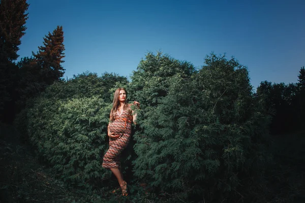 Parkta açık havada genç hamile kadın. Üçüncü trimesterde sakin hamile kadın. Halka açık bahçede yürüyüş. Ormanda ağaçlar — Stok fotoğraf