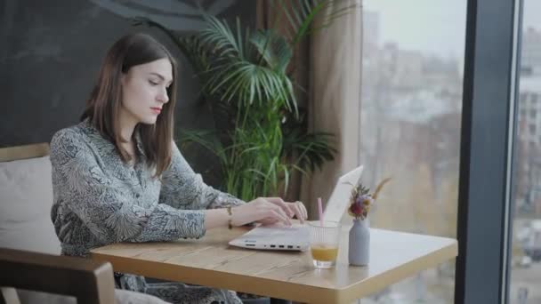 Mujer joven escribiendo en el teclado, charlando, blogueando. Freelancer trabaja en netbook en coworking moderno. Gente exitosa, hombre de negocios en una cafetería cómoda. Ventanas grandes altas — Vídeo de stock