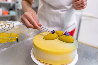 Pasta şefi Modern Avrupa kekini süsler. Sarı velour ile kaplı mus tatlısı. Tatlı tatlı ve çay partisi. Fransız mutfağı. Çiçekler teması. Kopyalama alanı