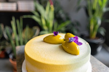 Sarı velour ile kaplı mus tatlısı. Modern Avrupa pastası. Tatlı tatlı ve çay partisi. Fransız mutfağı. Çiçekler teması. Kopyalama alanı