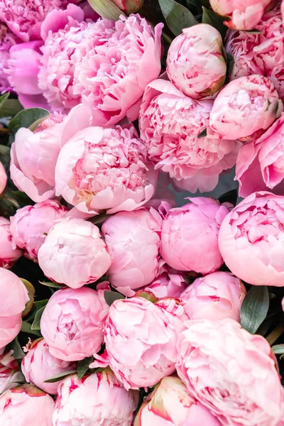 Tappeto floreale o Wallpaper. Sfondo di peonie rosa. Luce del mattino nella stanza. Bellissimo fiore di peonia per catalogo o negozio online. Negozio floreale e concetto di consegna  . — Foto Stock