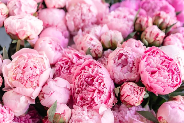 Floral carpet or Wallpaper. Background of pink peonies. Morning light in the room. Beautiful peony flower for catalog or online store. Floral shop and delivery concept . — Stock Photo, Image