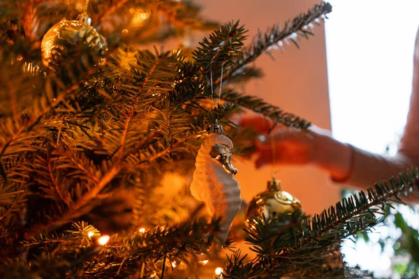 Jovem feliz decorando árvore de Natal em casa. Férias de inverno em um interior de casa. Brinquedos de Natal dourados e brancos, guirlandas de luzes. Abeto natural dinamarquês — Fotografia de Stock