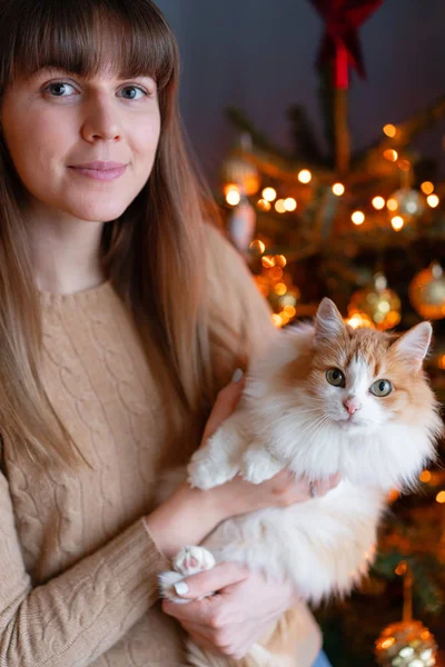 Pretty Girl omfamnar fluffiga röd och vit katt på julgran bakgrund. Dekorera natur dansk Gran hemma. Vintersemester i ett hus interiör. Ljus kransar. — Stockfoto