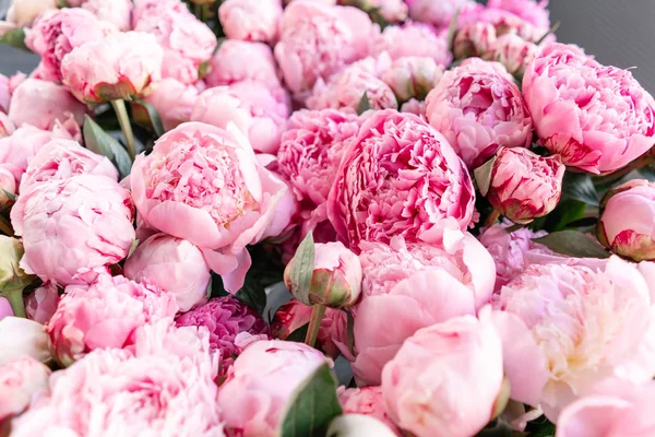 Warehouse refrigerator, Wholesale flowers for flower shops. Pink peonies in a plastic container or bucket. Online store. Floral shop and delivery concept. — Stock Photo, Image