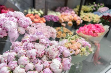 Farklı renkte çiçekli vazolar, çiçekçi dükkanı. Güzel bahar buketleri. - Evet. Küçük bir aile şirketi. Çiçekçilik. Boşluğu kopyala