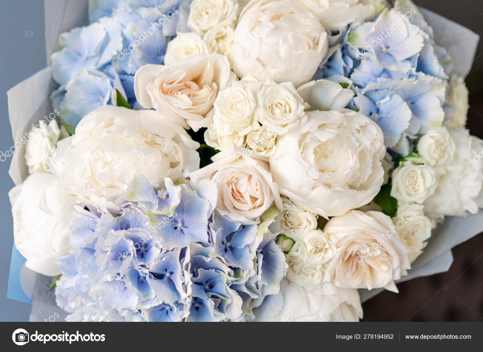 White Peonies And Blue Hydrangea Beautiful Bouquet Of Mixed Flowers In Woman Hand Floral Shop Concept Handsome Fresh Bouquet Flowers Delivery Stock Photo Image By C Malkovkosta 278194952