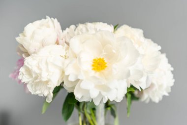 Metal vazodaki beyaz şakayıklar. Katalog veya online mağaza için güzel şakayık çiçek. Çiçek dükkanı konsepti . Güzel taze kesme buketi. Çiçek teslimatı