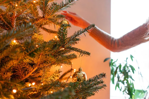 Ευτυχισμένη νέα γυναίκα διακόσμηση χριστουγεννιάτικο δέντρο στο σπίτι. Χειμερινές διακοπές σε ένα εσωτερικό σπίτι. Χρυσά και άσπρα Χριστουγεννιάτικα παιχνίδια, γιρλάντες με φώτα. Φυσικό δανικό ερυθρελάτη — Φωτογραφία Αρχείου