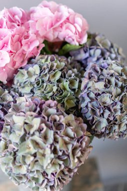 Seçici odak. Mor ve yeşil çiçek buketi. Masadaki vazoda güzel ortanca çiçekleri. Ev dekorasyonu. Duvar kağıdı ve arka plan.