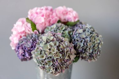 Seçici odak. Mor ve yeşil çiçek buketi. Masadaki vazoda güzel ortanca çiçekleri. Ev dekorasyonu. Duvar kağıdı ve arka plan.