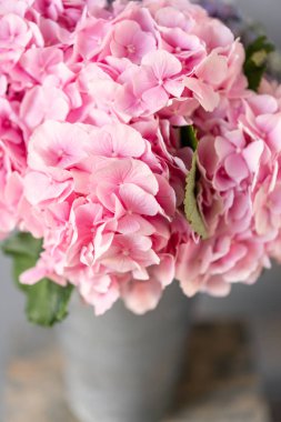 Seçici odak. bir masa üzerinde bir vazo güzel ortanca çiçekler . Açık pembe çiçek buketi. Ev dekorasyonu. Duvar kağıdı ve arka plan.