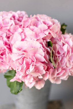 Seçici odak. bir masa üzerinde bir vazo güzel ortanca çiçekler . Açık pembe çiçek buketi. Ev dekorasyonu. Duvar kağıdı ve arka plan.