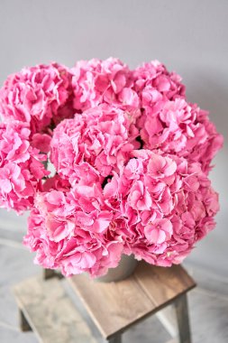 Masadaki vazoda duran güzel pembe ortanca çiçekleri. Açık pembe çiçek buketi. Evin dekorasyonu. Duvar kağıdı ve arka plan. fuşya rengi