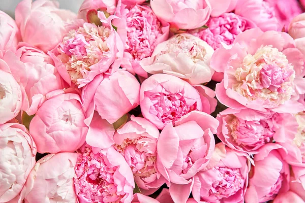 Floral carpet or Wallpaper. Beautiful Pink peony flower for catalog or online store. Floral shop concept . Beautiful fresh cut bouquet. Flowers delivery — Stock Photo, Image