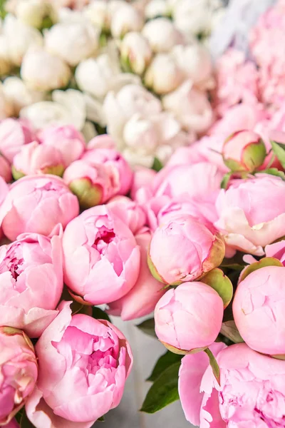 Alfombra floral o fondo de pantalla. Fondo de peonías rosadas y blancas. Luz de la mañana en la habitación. Hermosa flor de peonía para catálogo o tienda en línea. Tienda floral y concepto de entrega  . —  Fotos de Stock