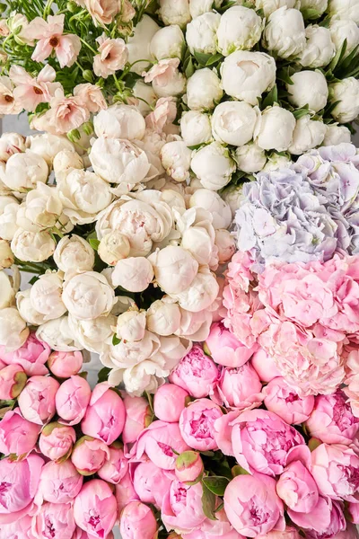 Alfombra floral o fondo de pantalla. Fondo de peonías rosadas y blancas. Luz de la mañana en la habitación. Hermosa flor de peonía para catálogo o tienda en línea. Tienda floral y concepto de entrega  . —  Fotos de Stock