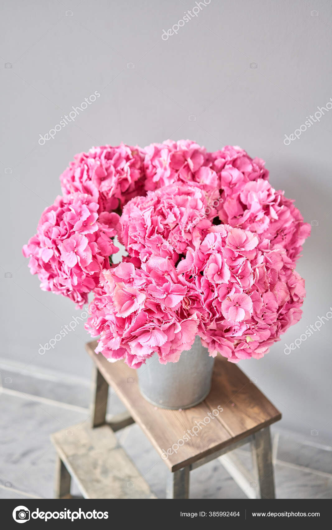 Beautiful Pink Hydrangea Flowers In A Vase On A Table Bouquet Of Light Pink Flower Decoration Of Home Wallpaper And Background Fuchsia Color Stock Photo Image By C Malkovkosta 385992464