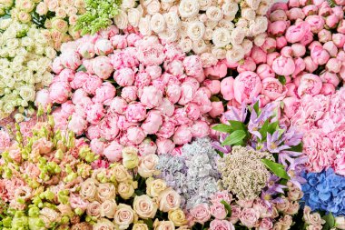 Çiçekli halı ya da duvar kağıdı. Çiçeklerin karışımı. Katalog ya da çevrimiçi mağaza için güzel çiçekler. Çiçek dükkanı ve teslimat konsepti. Üst Manzara. Boşluğu kopyala