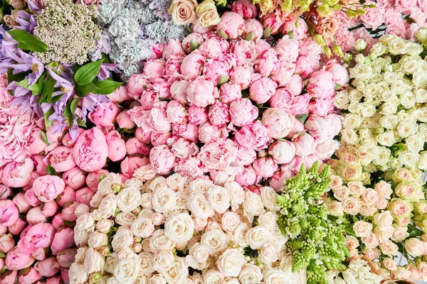 Floral carpet or Wallpaper. Background of mix of flowers. Beautiful flowers for catalog or online store. Floral shop and delivery concept. Top view. Copy space — Stock Photo, Image