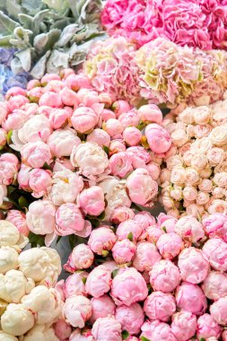 Çiçekli halı ya da duvar kağıdı. Çiçeklerin karışımı. Katalog ya da çevrimiçi mağaza için güzel çiçekler. Çiçek dükkanı ve teslimat konsepti. Üst Manzara. Boşluğu kopyala