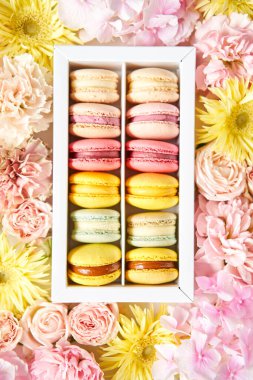 Çiçeklerin arka planında çiçekler olan bir kutuda makarna. Makarna kekleri ve farklı çiçeklerle dolu bir hayat.
