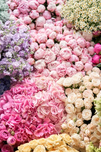 Muchos colores diferentes en el soporte o mesa de madera en la florería. Escaparate. Fondo de mezcla de flores. Hermosas flores para catálogo o tienda en línea. —  Fotos de Stock