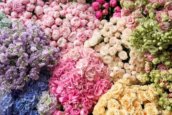 Muchos colores diferentes en el soporte o mesa de madera en la florería. Escaparate. Fondo de mezcla de flores. Hermosas flores para catálogo o tienda en línea. —  Fotos de Stock