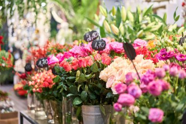 Farklı renkte çiçekli vazolar, çiçekçi dükkanı. Güzel bahar buketleri. - Evet. Küçük bir aile şirketi. Çiçekçilik. Boşluğu kopyala