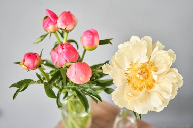 Bud ve bir çiçeğe dönüşüyor. Ahşap masadaki cam vazoda mercan şakayıklar. Katalog ya da internet mağazası için güzel şakayık çiçekleri. Çiçek dükkanı konsepti. Taze kesilmiş güzel bir buket. Çiçek teslimatı.