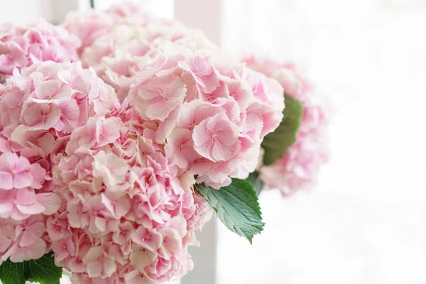 Bei Fiori Di Ortensia In Un Vaso Su Un Tavolo Profumo Di Fiori Azzurri Lilla E Rosa Decorazione Della Casa Carta Da Parati E Sfondo Primo Piano Paesi Bassi