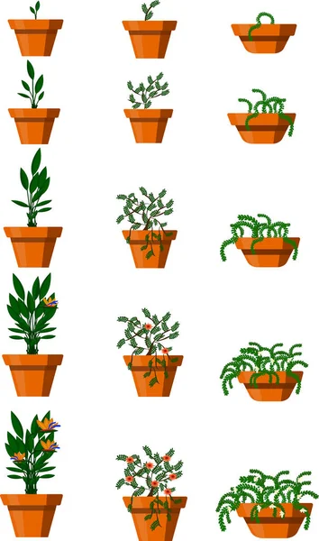 Pots Avec Des Plantes Stade Croissance Des Plantes — Image vectorielle