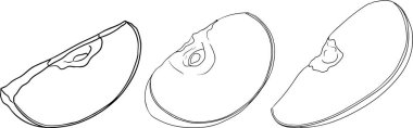 Line apples, perfect for educational or botanical designs. High quality illustration, coloring pages. . Vector illustration